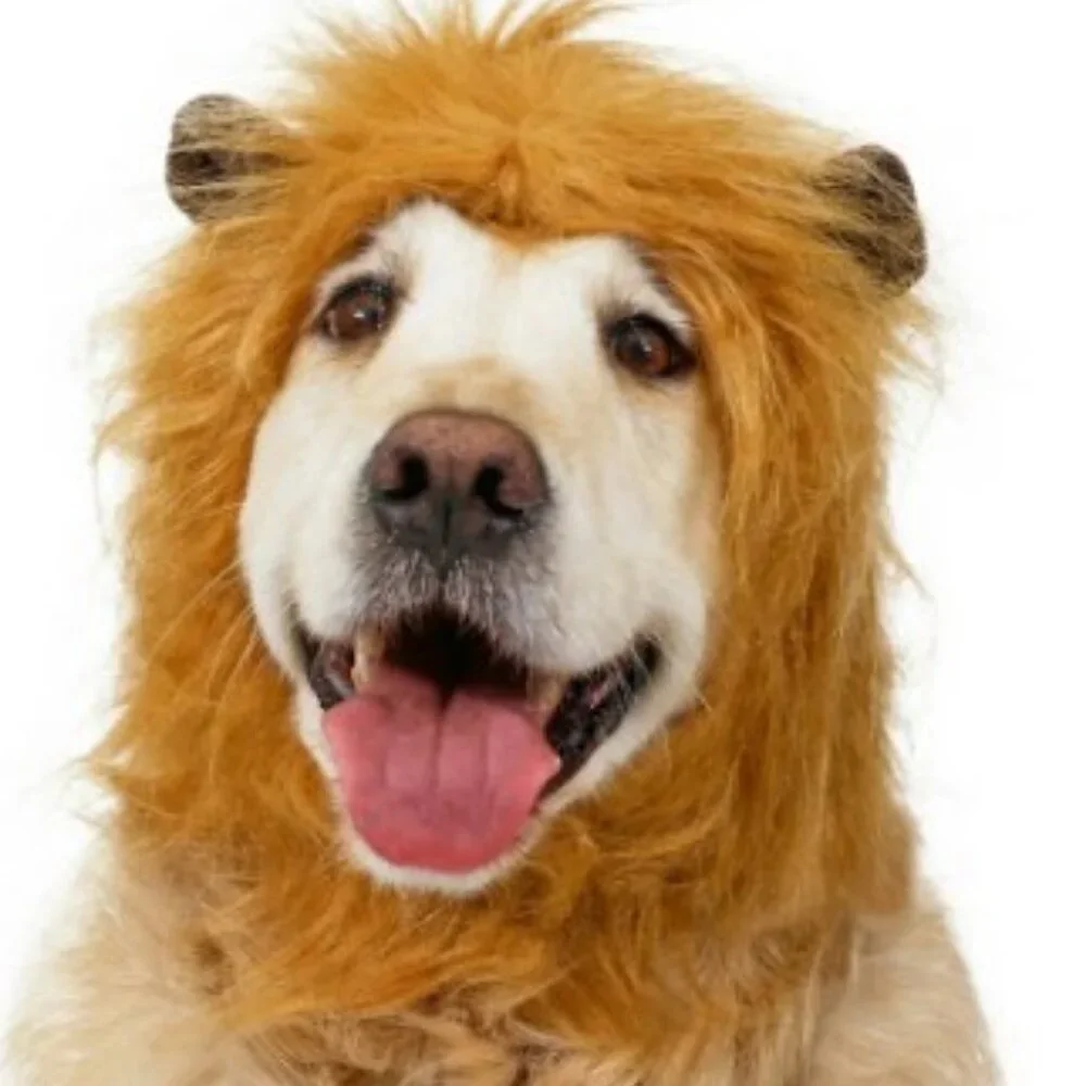 New Lion Mane Hat Dog Pet Halloween Costume Ears Size M/L Includes soft brown ea